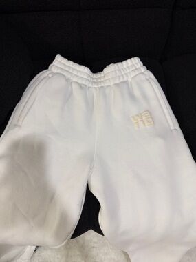 Alexander wang sweatpants